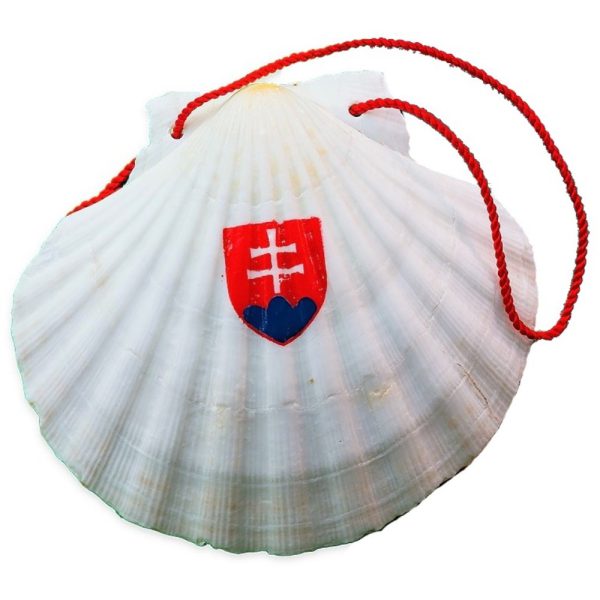 Jakobsmuschel